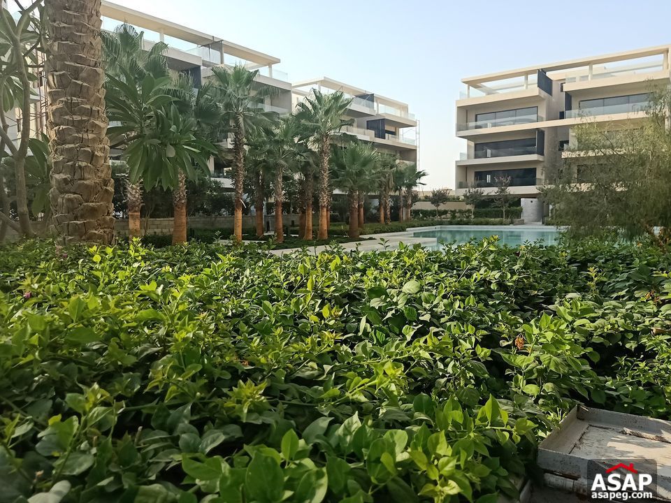 Apartment for Sale in New Cairo Compounds Apartment for Sale in New Cairo Compounds