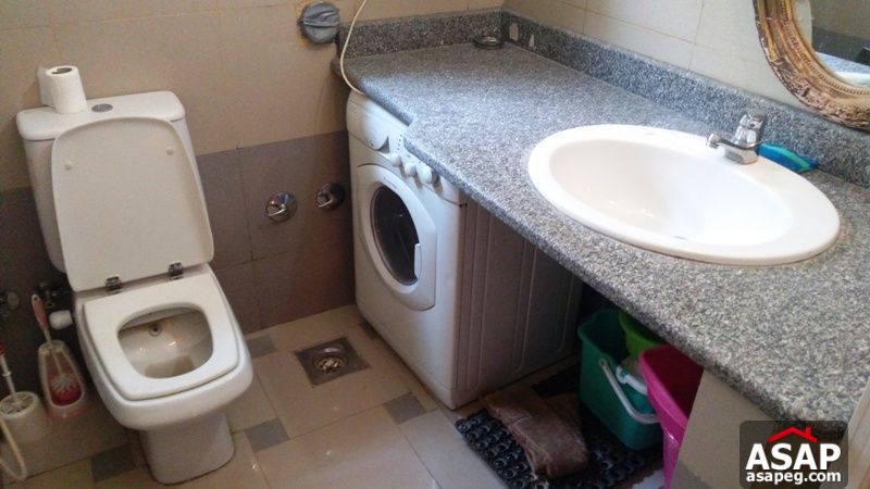 Fully Furnished Apartment for Rent in Zamalek Fully Furnished Apartment for Rent in Zamalek