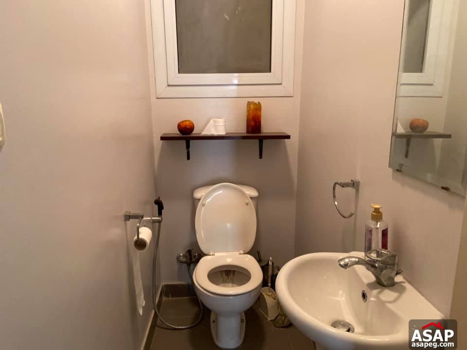 Apartment for Rent in Zamalek Apartment for Rent in Zamalek