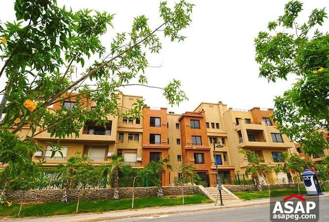 Duplex for Sale in Casa Compound , Sheikh Zayed City Duplex for Sale in Casa Compound , Sheikh Zayed City