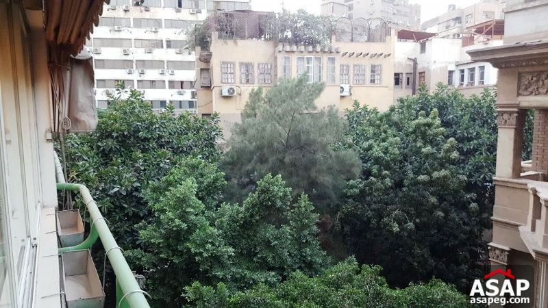 Furnished Apartment with Big Terrace in Zamalek Furnished Apartment with Big Terrace in Zamalek