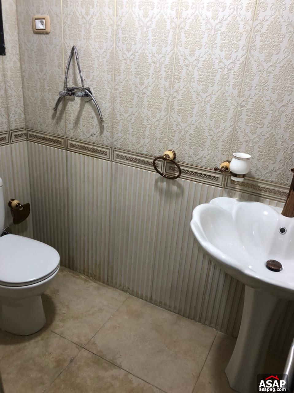 Duplex with Garden for Rent in Eastown Duplex with Garden for Rent in Eastown