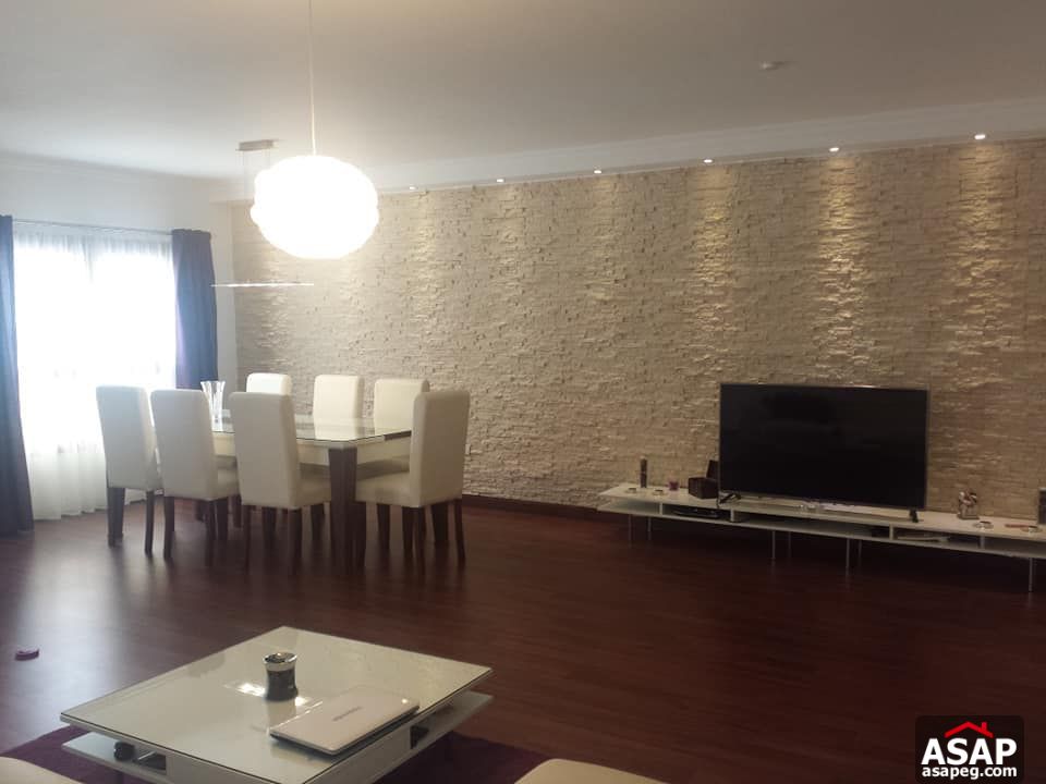 Apartment for Rent in Maadi Degla Apartment for Rent in Maadi Degla