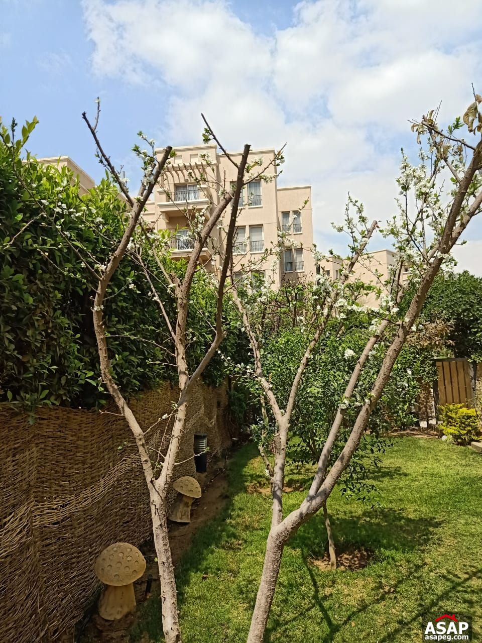 Ground Floor for Sale in Katameya Plaza Ground Floor for Sale in Katameya Plaza