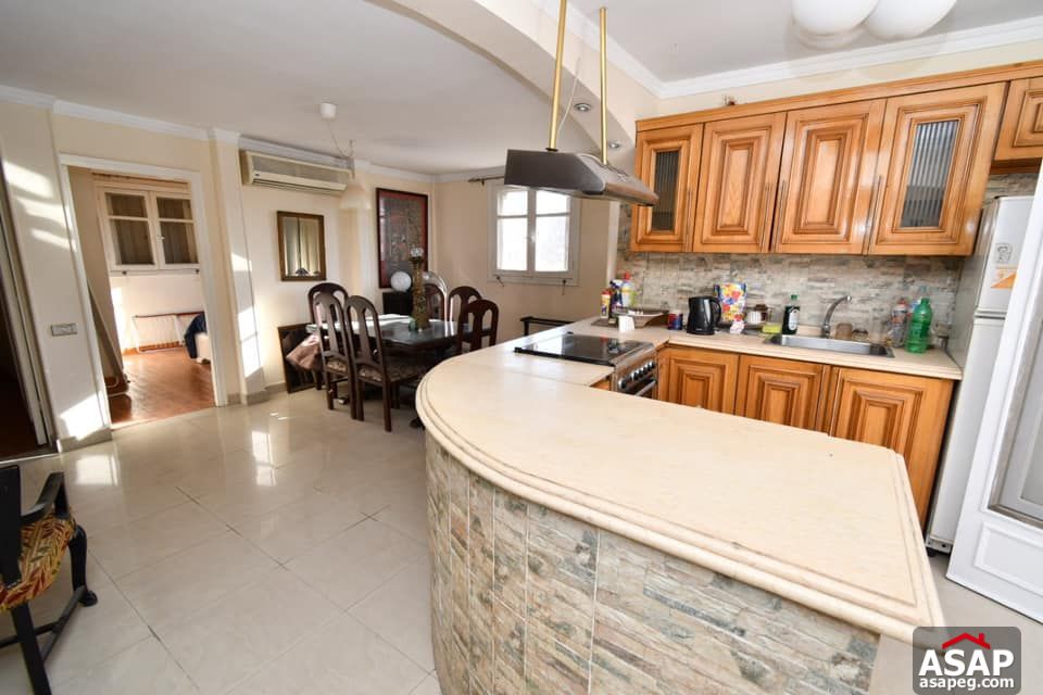 Penthouse for Rent in Zamalek Penthouse for Rent in Zamalek