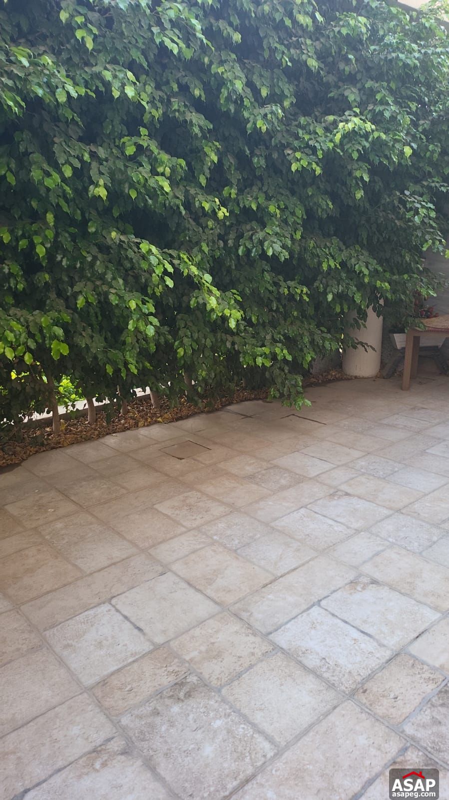 Furnished Ground Floor for Rent in Lake View Residence Furnished Ground Floor for Rent in Lake View Residence