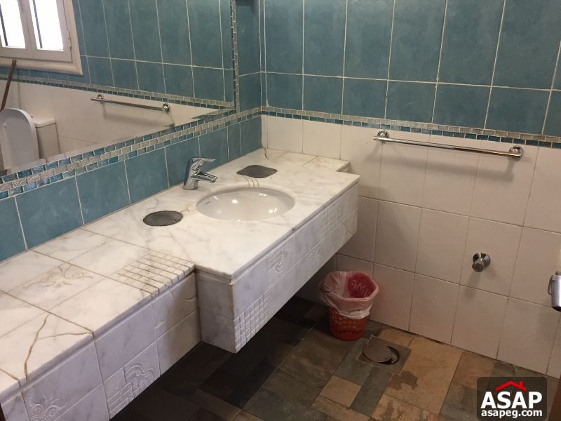 Apartment for rent in zamalek