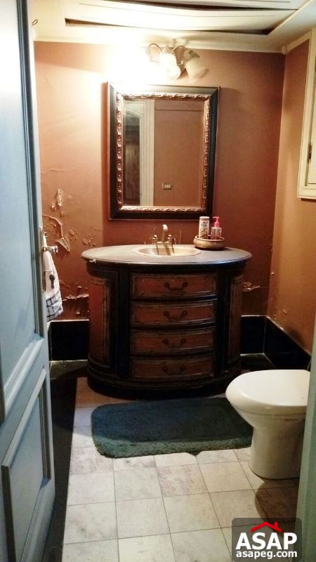 Apartment for rent in zamalek Apartment for rent in zamalek