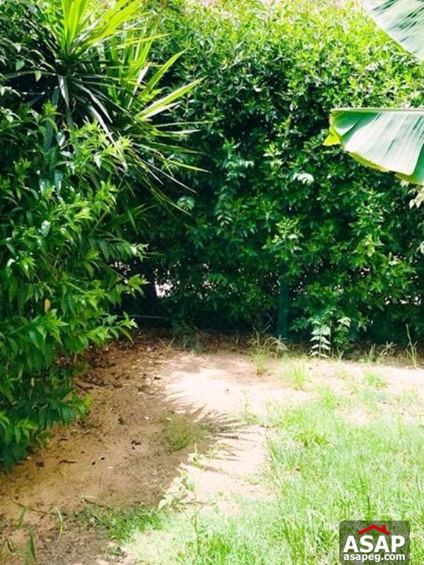 Apartment with Garden in Katameya Plaza Apartment with Garden in Katameya Plaza