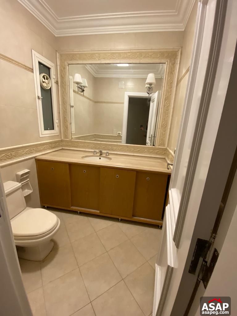 Apartment for Rent in Zamalek Apartment for Rent in Zamalek