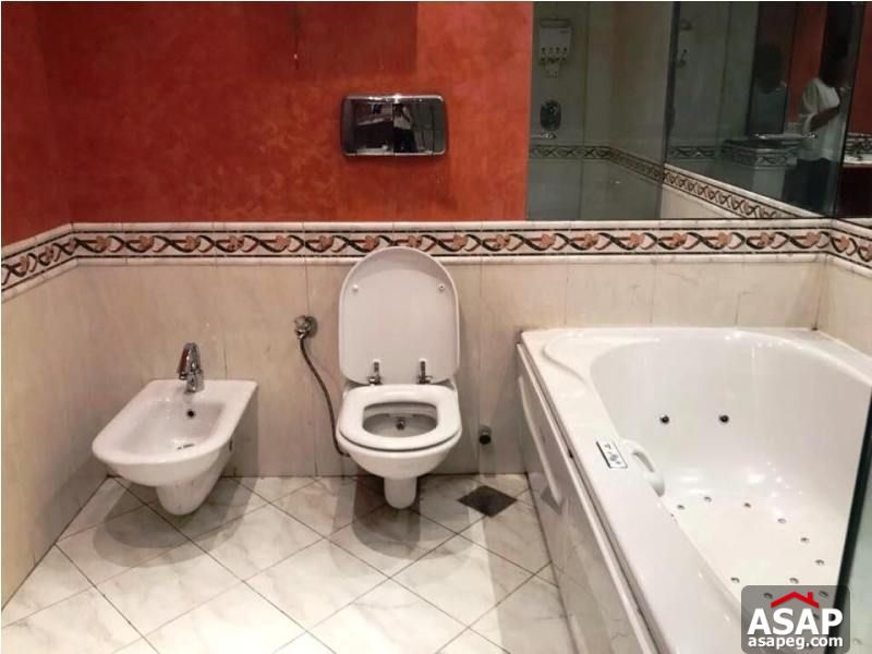 Furnished Apartment with Nile View in Zamalek Furnished Apartment with Nile View in Zamalek