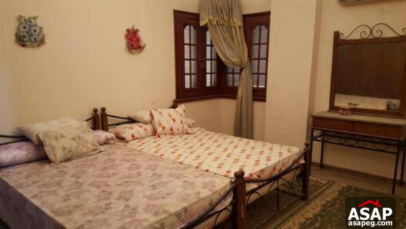 Furnished Apartment in Maadi Degla