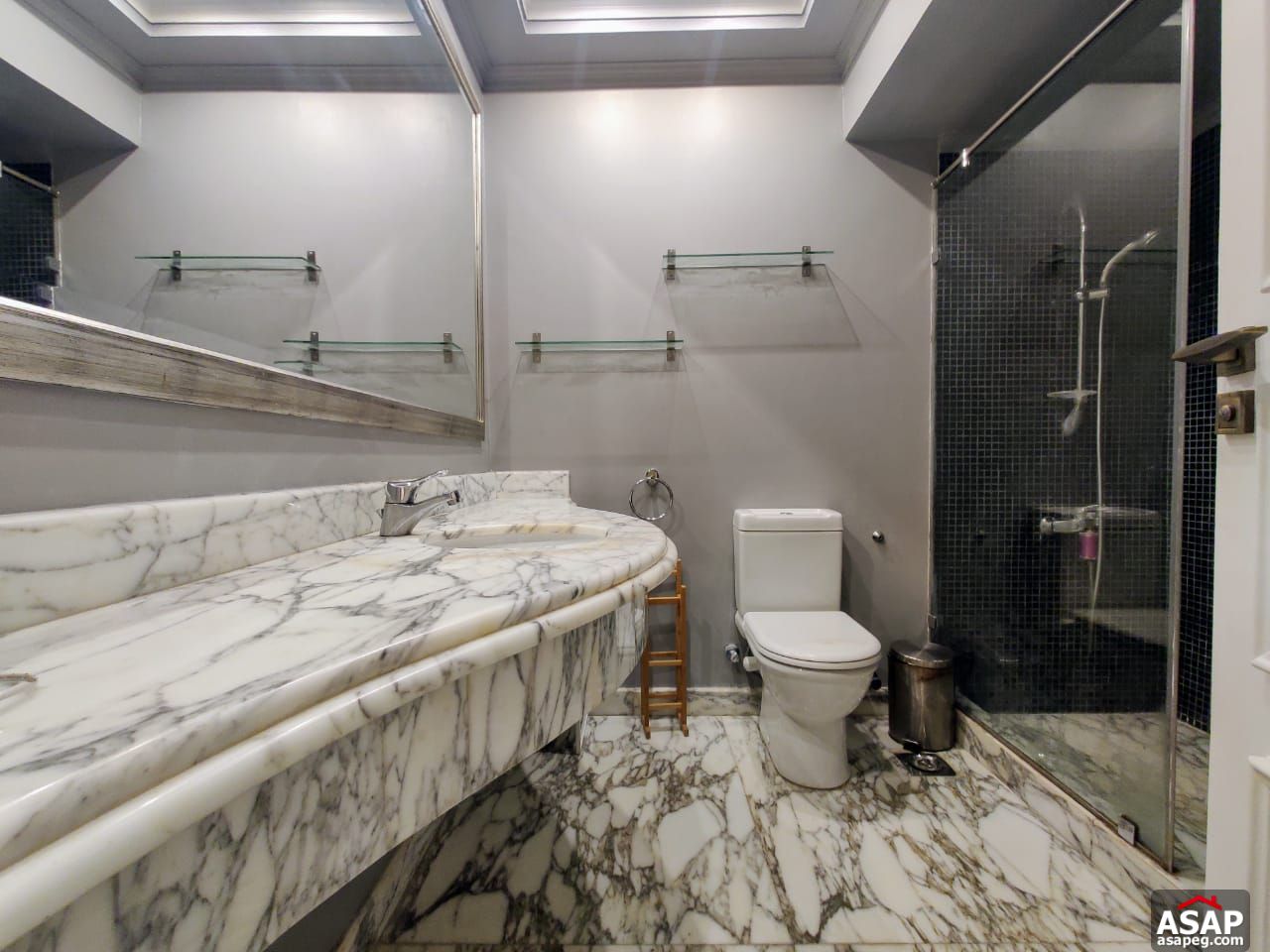 Amazing Apartment in Zamalek for Rent Amazing Apartment in Zamalek for Rent