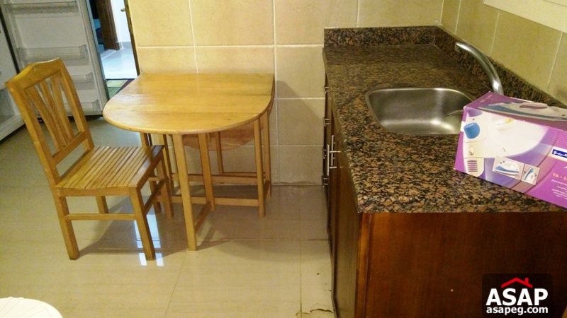 Furnished Apartment with Balcony for Rent in Dokki Furnished Apartment with Balcony for Rent in Dokki