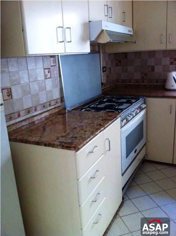 Modern Furnished Apartment in Zamalek for Rent Modern Furnished Apartment in Zamalek for Rent