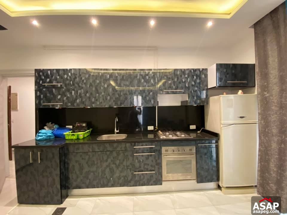 Apartment for Rent in Zamalek Apartment for Rent in Zamalek