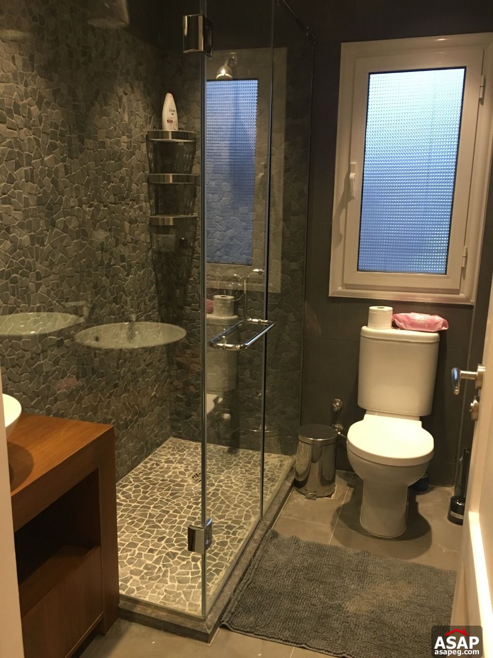 Apartment for Rent in Zamalek Apartment for Rent in Zamalek