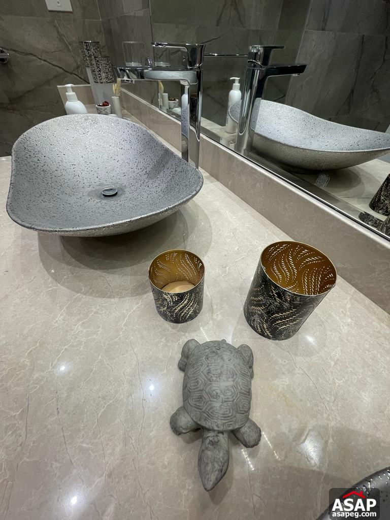 Furnished Apartment for Rent in Villette Sodic Furnished Apartment for Rent in Villette Sodic