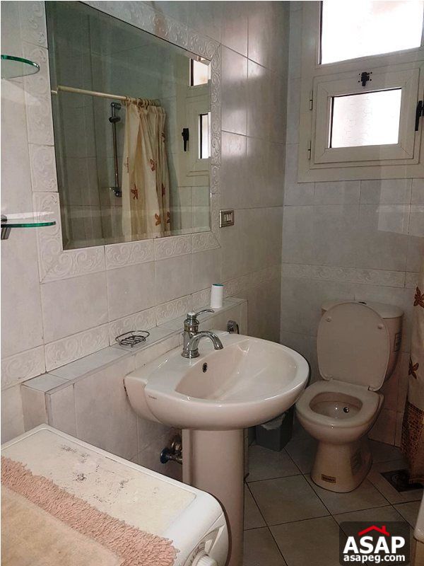 Apartment with Big Terrace for Rent in Zamalek Apartment with Big Terrace for Rent in Zamalek