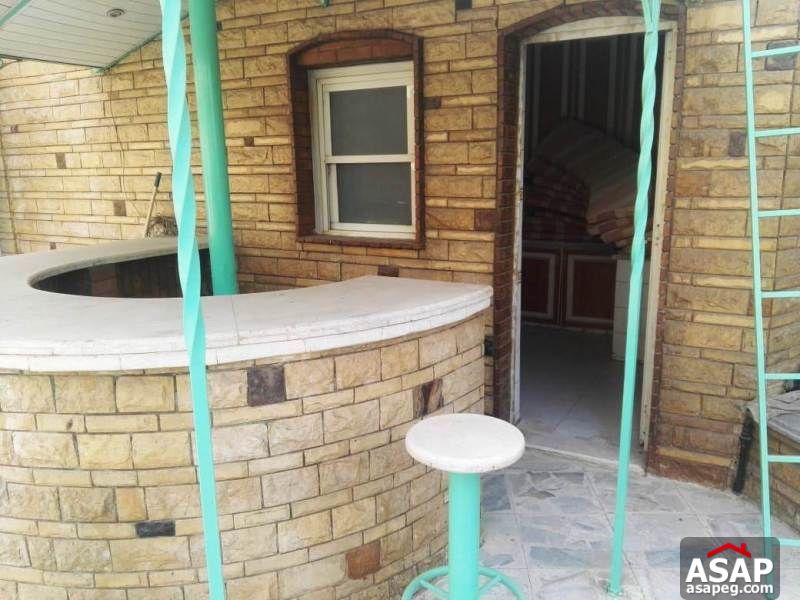 Apartment with Big Roof for Rent in Zamalek Apartment with Big Roof for Rent in Zamalek