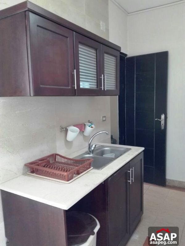 Furnished Apartment for rent in Mohandiseen Furnished Apartment for rent in Mohandiseen