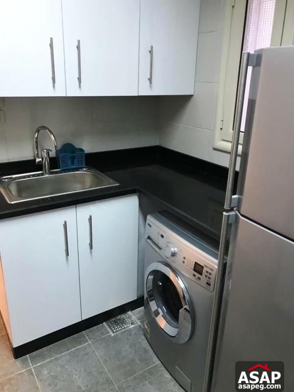 Modern Flat for Rent in Zamalek Modern Flat for Rent in Zamalek