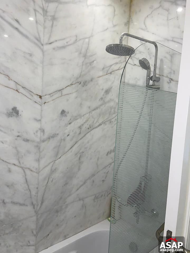 Apartment for Rent in Zamalek Apartment for Rent in Zamalek