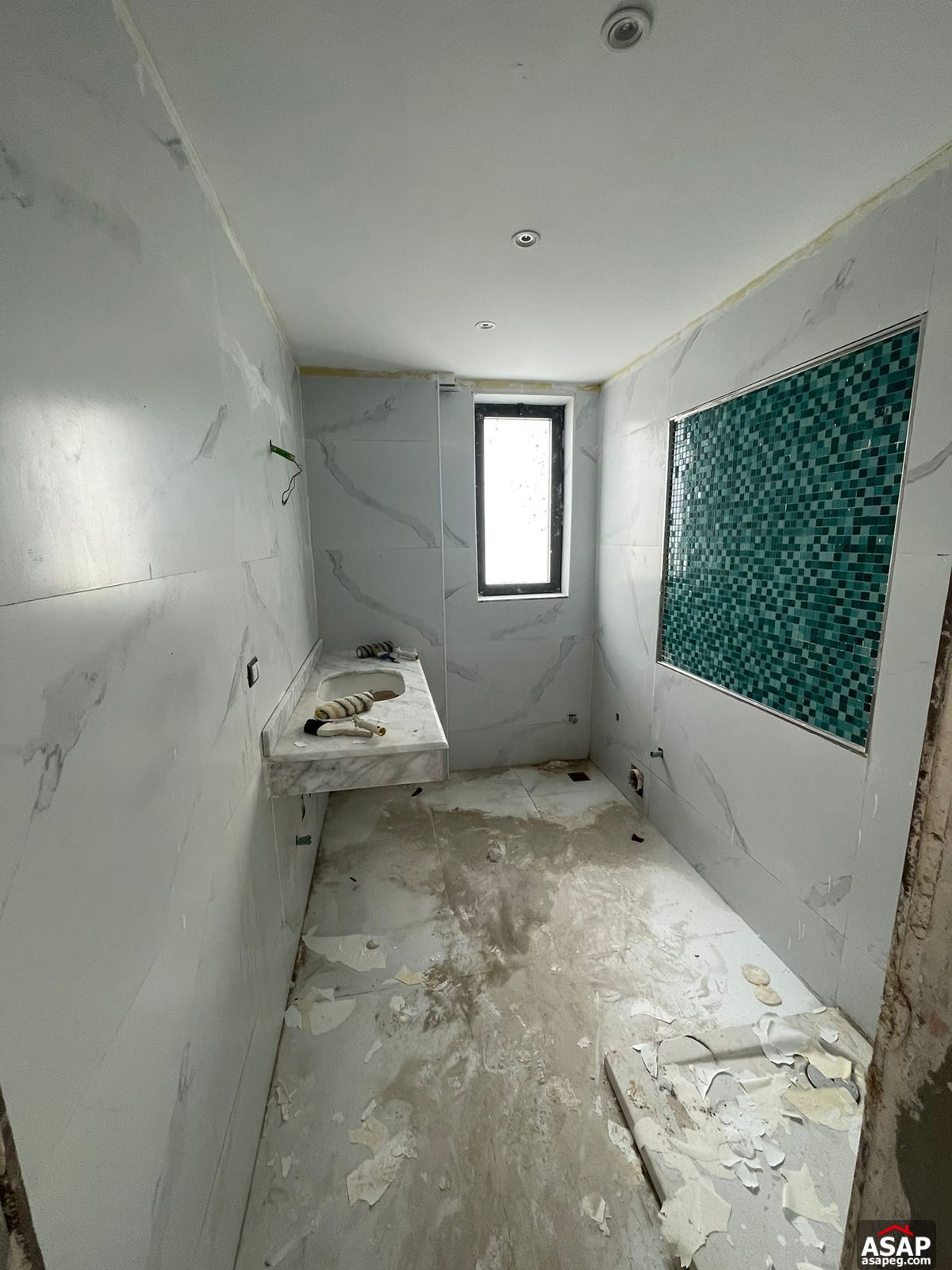 Penthouse with Swimming Pool for Rent in Lake View Residence Penthouse with Swimming Pool for Rent in Lake View Residence