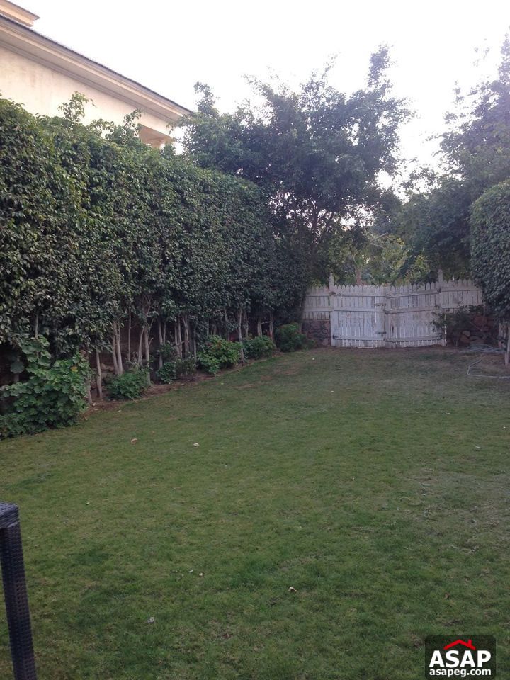 Twin House for Rent in Mountain View