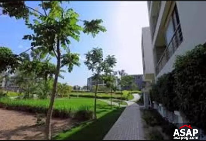 Town House for Sale in Tag Sultan Town House for Sale in Tag Sultan