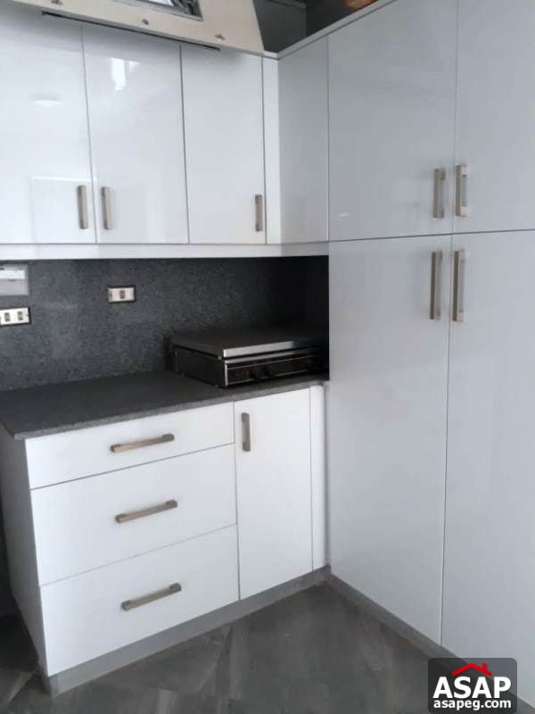 Penthouse for Rent in Park View Penthouse for Rent in Park View