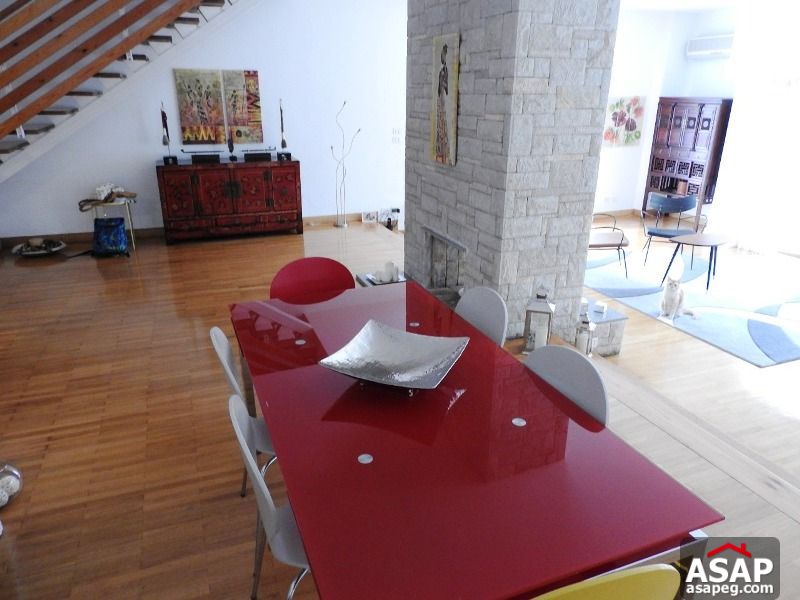 Villa with Garden for Rent in Maadi Villa with Garden for Rent in Maadi