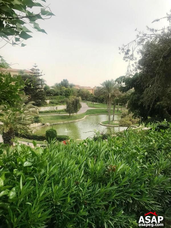 Stand Alone Villa for Rent in Arabella