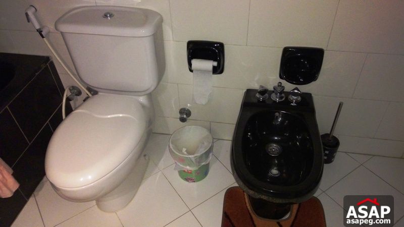 Apartment for rent in dokki Apartment for rent in dokki