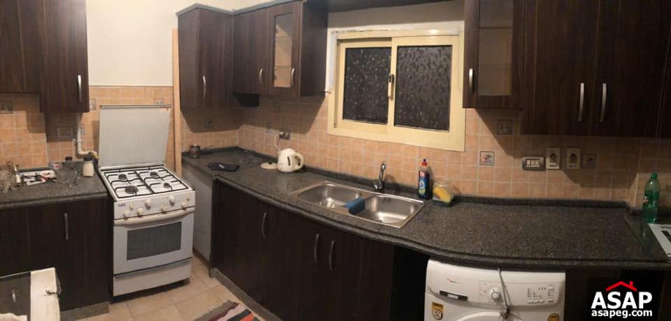 Apartment for Rent in Zamalek Apartment for Rent in Zamalek