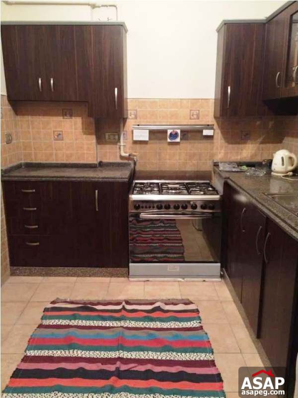 Apartment with Nile View for Rent in Zamalek