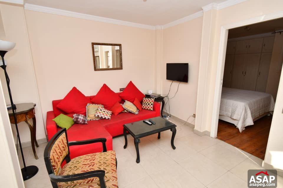 Penthouse for Rent in Zamalek Penthouse for Rent in Zamalek