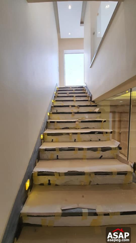 Penthouse for Rent in Mountain View Hyde Park