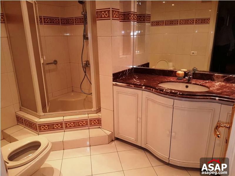 Duplex with Big Terrace for Rent in Zamalek