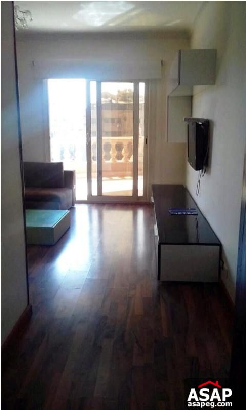 Furnished Apartment for Rent in Mohandiseen Furnished Apartment for Rent in Mohandiseen
