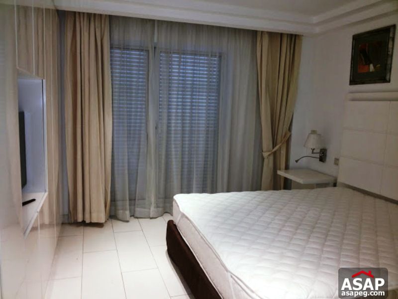 Apartment with Garden in Zamalek Apartment with Garden in Zamalek