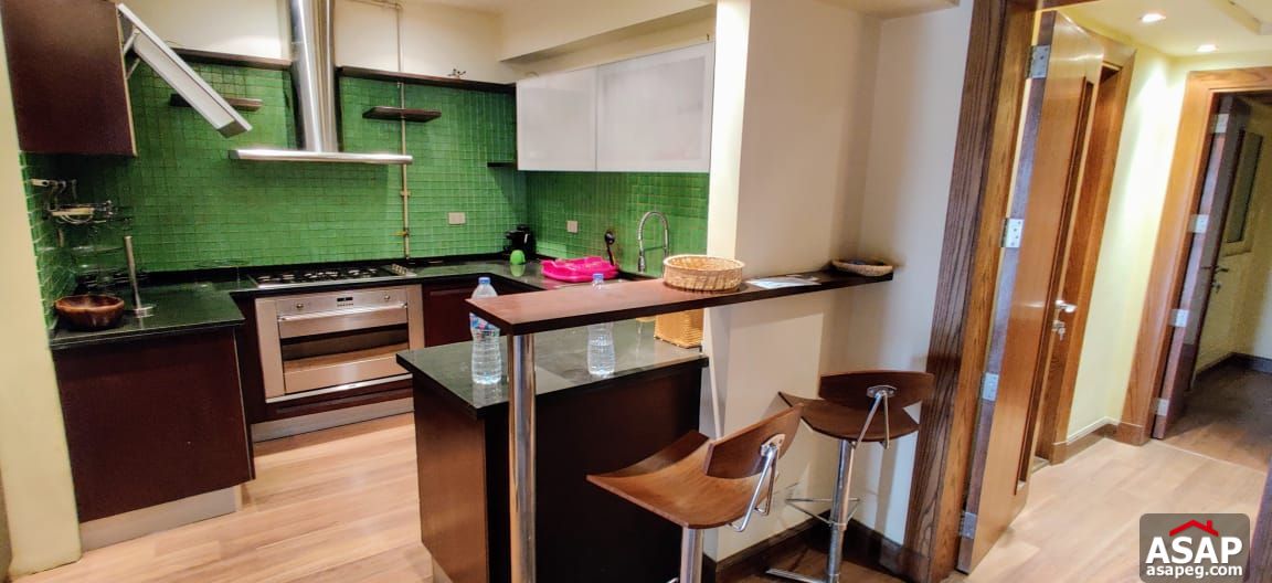 Ultra Modern Apartment in Zamalek for Rent Ultra Modern Apartment in Zamalek for Rent