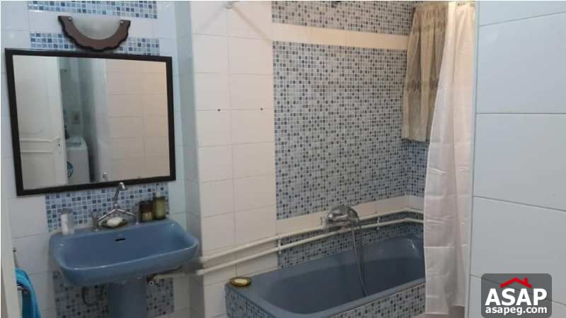 Furnished Flat for Rent in Zamalek Furnished Flat for Rent in Zamalek