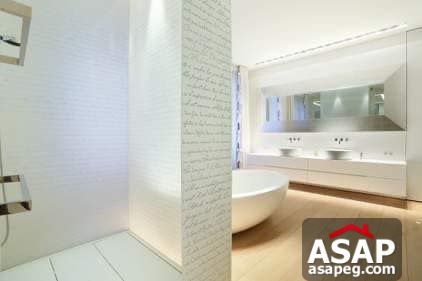 Nica Flat for Rent in Zamalek Nica Flat for Rent in Zamalek