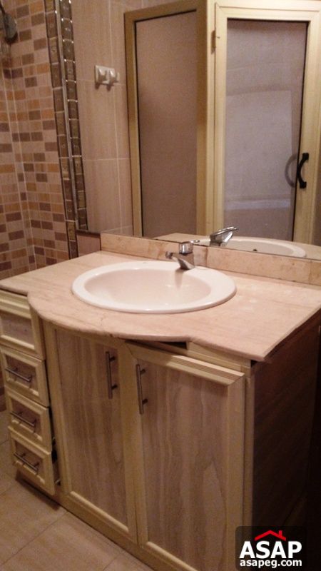 Apartment with Terrace for Rent in Zamalek Apartment with Terrace for Rent in Zamalek