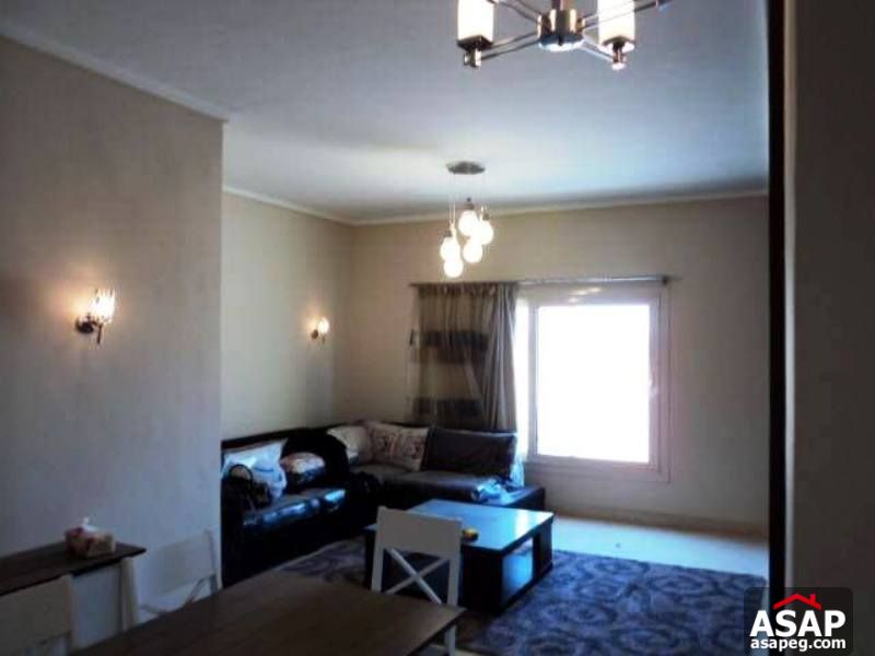 Furnished Studio for Rent in the Village - New Cairo Furnished Studio for Rent in the Village - New Cairo