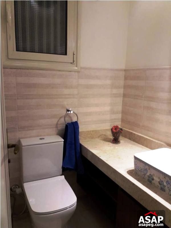 Nice Flat for Rent in Zamalek Nice Flat for Rent in Zamalek