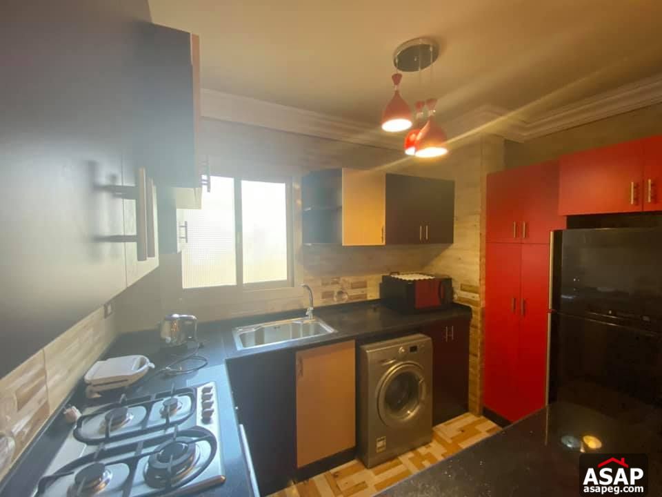 Apartment for Rent in Zamalek Apartment for Rent in Zamalek