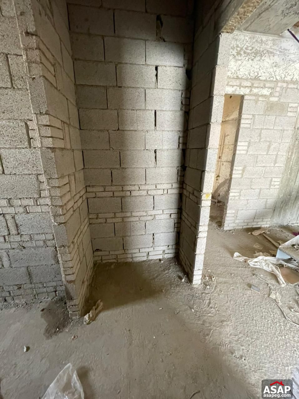 Penthouse with Pool for Sale in Lake View Residence Penthouse with Pool for Sale in Lake View Residence