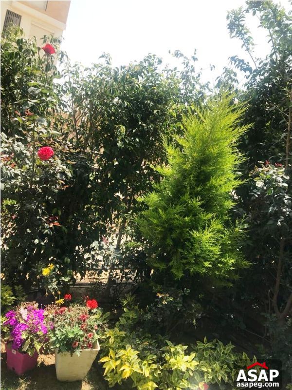 Duplex with Garden for Sale in Eastown Duplex with Garden for Sale in Eastown